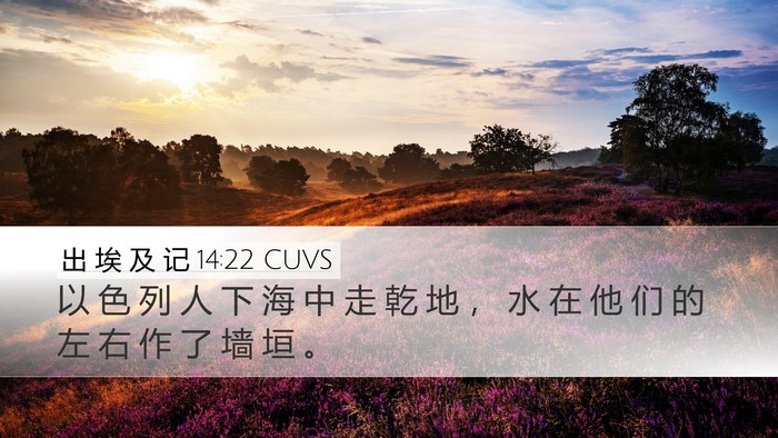 出 埃 及 记 14:22 CUVS Bible Verse Image