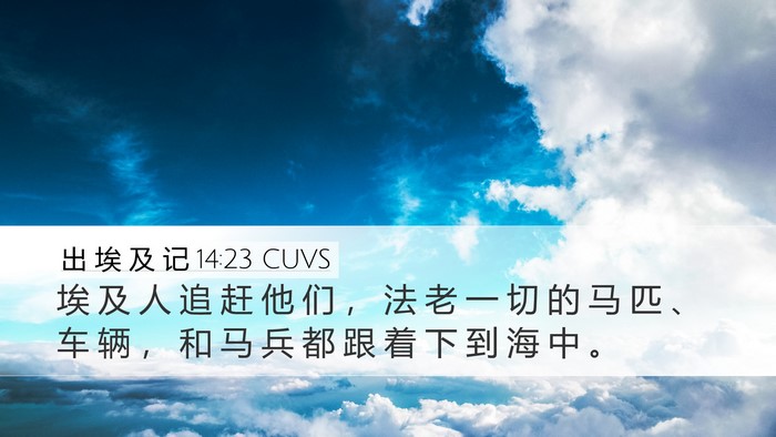 出 埃 及 记 14:23 CUVS Bible Verse Image