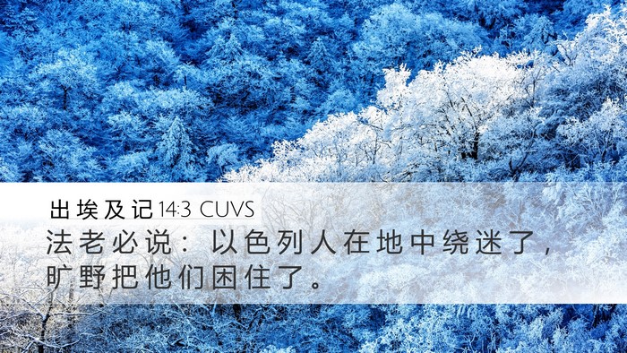 出 埃 及 记 14:3 CUVS Bible Verse Image