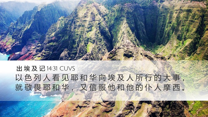 出 埃 及 记 14:31 CUVS Bible Verse Image