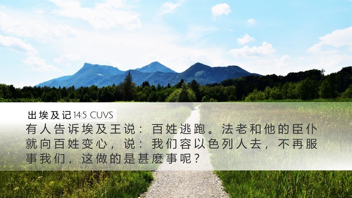 出 埃 及 记 14:5 CUVS Bible Verse Image