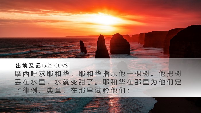 出 埃 及 记 15:25 CUVS Bible Verse Image