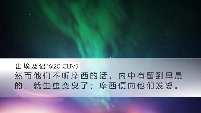 出 埃 及 记 16:20 CUVS Bible Verse Image