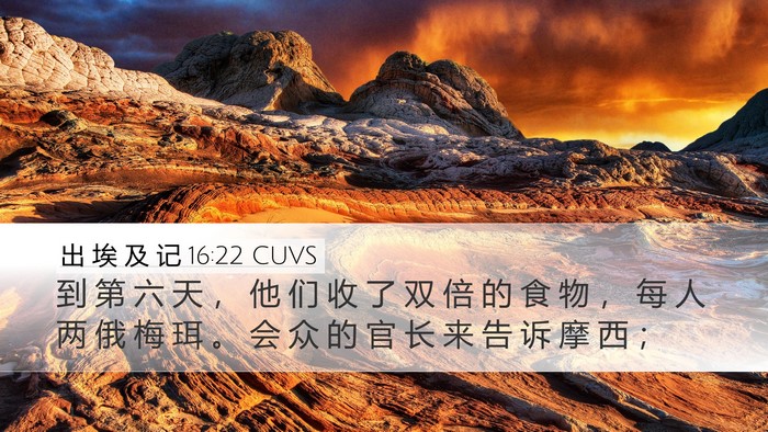 出 埃 及 记 16:22 CUVS Bible Verse Image
