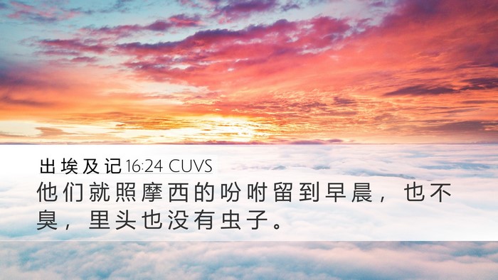 出 埃 及 记 16:24 CUVS Desktop Wallpaper - 他 们 就 照 摩 西 的 吩 咐 留 到 早 - Desktop Bible Verse Wallpaper