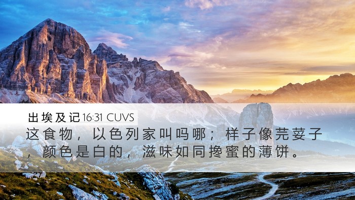 出 埃 及 记 16:31 CUVS Bible Verse Image