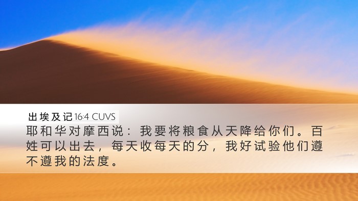 出 埃 及 记 16:4 CUVS Bible Verse Image