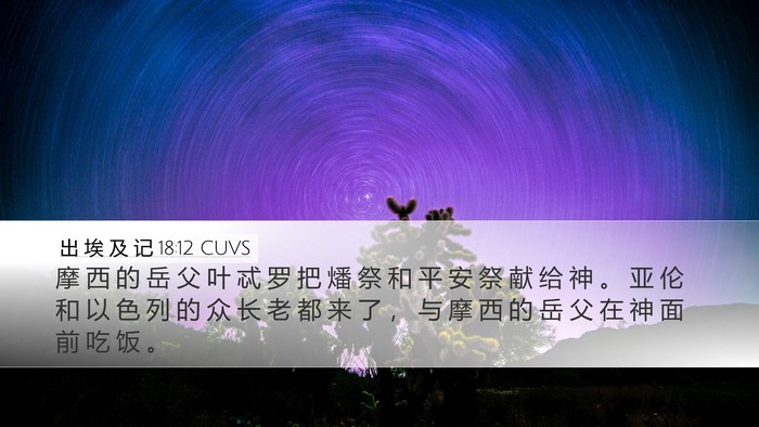 出 埃 及 记 18:12 CUVS Bible Verse Image