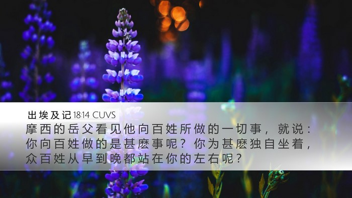 出 埃 及 记 18:14 CUVS Bible Verse Image