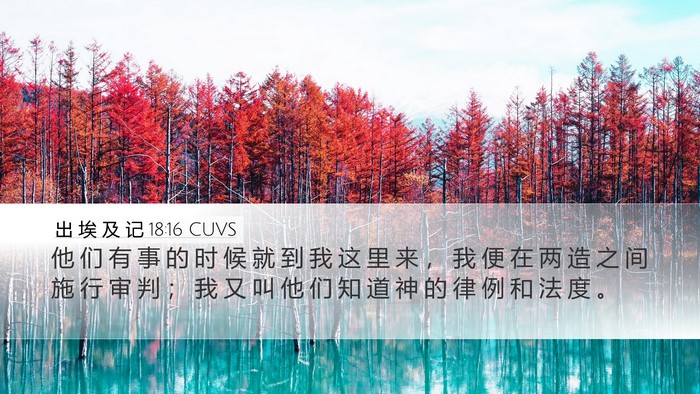出 埃 及 记 18:16 CUVS Bible Verse Image