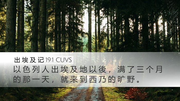 出 埃 及 记 19:1 CUVS Bible Verse Image
