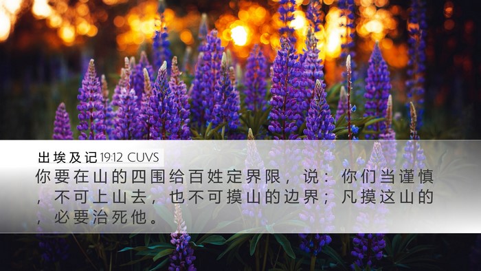 出 埃 及 记 19:12 CUVS Bible Verse Image