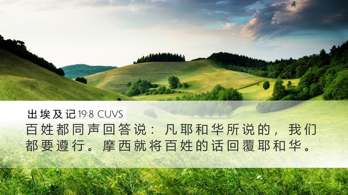 出 埃 及 记 19:8 CUVS Bible Verse Image