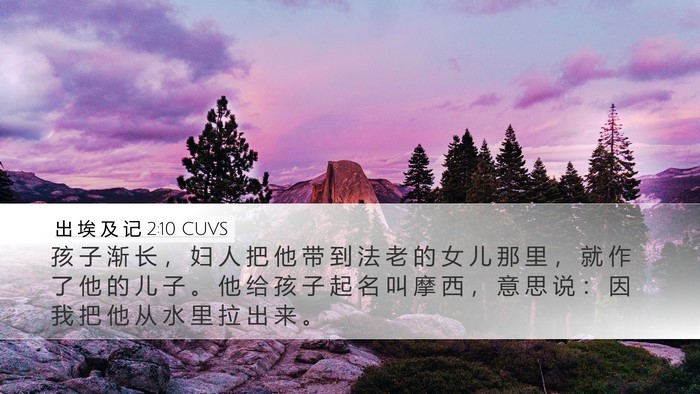 出 埃 及 记 2:10 CUVS Bible Verse Image
