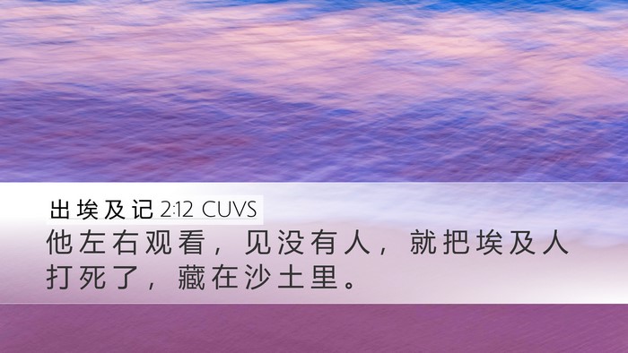 出 埃 及 记 2:12 CUVS Bible Verse Image