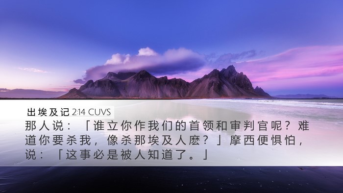 出 埃 及 记 2:14 CUVS Bible Verse Image
