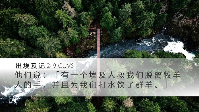 出 埃 及 记 2:19 CUVS Bible Verse Image