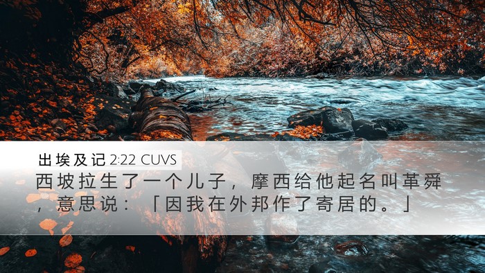 出 埃 及 记 2:22 CUVS Bible Verse Image