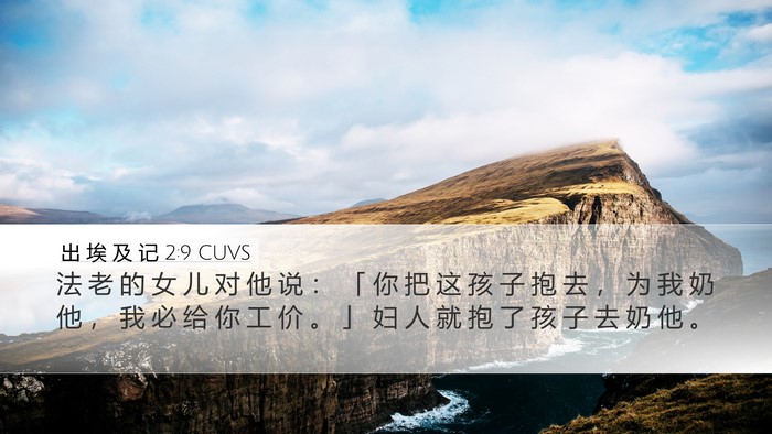 出 埃 及 记 2:9 CUVS Desktop Wallpaper - 法 老 的 女 儿 对 他 说 ： 「 你 把 - Desktop Bible Verse Wallpaper