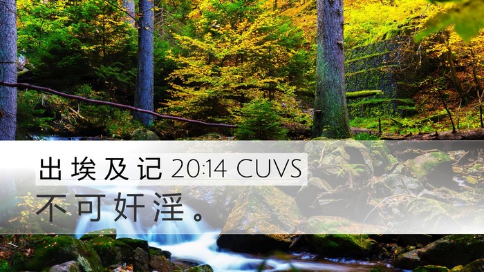 出 埃 及 记 20:14 CUVS Bible Verse Image