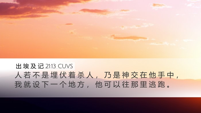 出 埃 及 记 21:13 CUVS Bible Verse Image