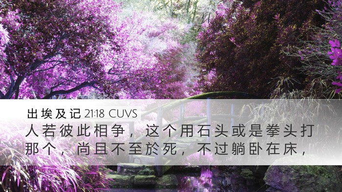 出 埃 及 记 21:18 CUVS Bible Verse Image