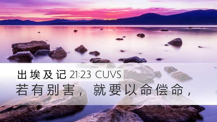 出 埃 及 记 21:23 CUVS Bible Verse Image
