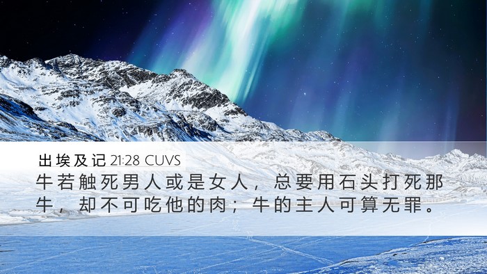 出 埃 及 记 21:28 CUVS Bible Verse Image