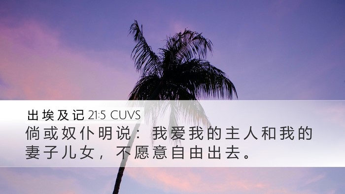出 埃 及 记 21:5 CUVS Desktop Wallpaper - 倘 或 奴 仆 明 说 ： 我 爱 我 的 主 - Desktop Bible Verse Wallpaper