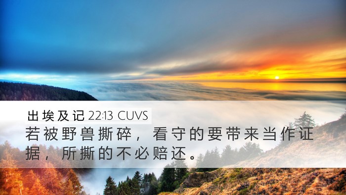 出 埃 及 记 22:13 CUVS Desktop Wallpaper - 若 被 野 兽 撕 碎 ， 看 守 的 要 带 - Desktop Bible Verse Wallpaper