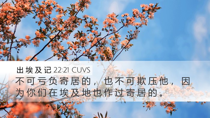 出 埃 及 记 22:21 CUVS Bible Verse Image