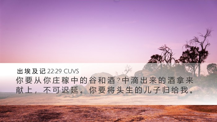 出 埃 及 记 22:29 CUVS Bible Verse Image