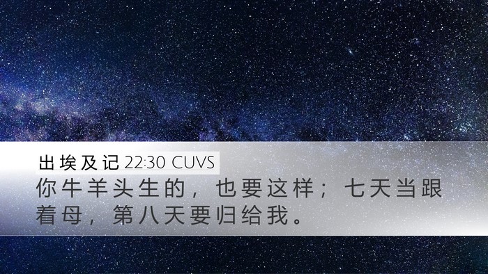 出 埃 及 记 22:30 CUVS Bible Verse Image