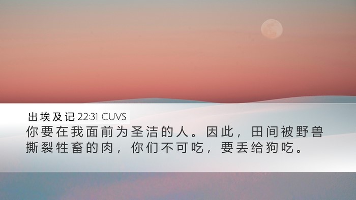 出 埃 及 记 22:31 CUVS Bible Verse Image