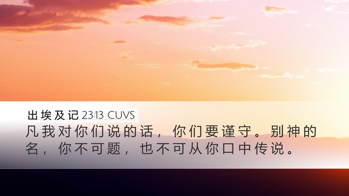 出 埃 及 记 23:13 CUVS Bible Verse Image
