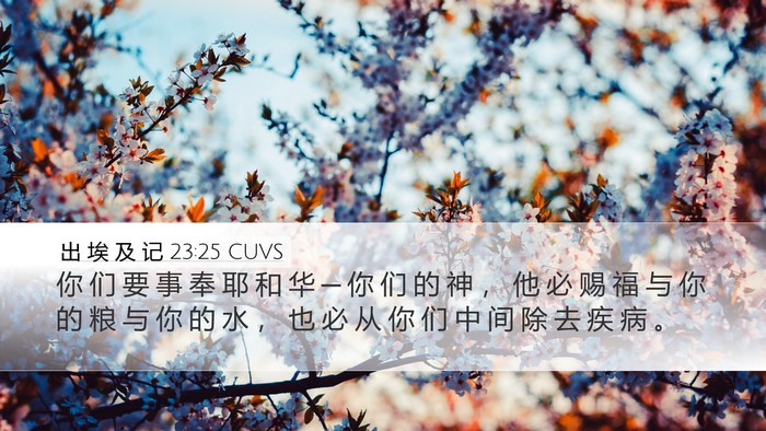 出 埃 及 记 23:25 CUVS Bible Verse Image