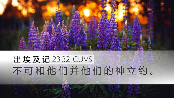 出 埃 及 记 23:32 CUVS Bible Verse Image