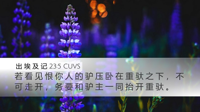 出 埃 及 记 23:5 CUVS Bible Verse Image