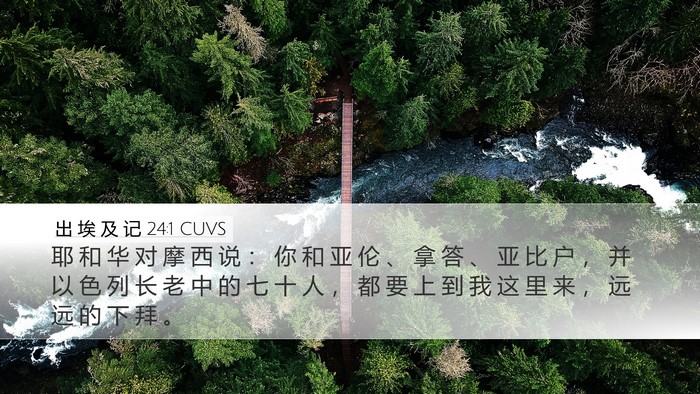 出 埃 及 记 24:1 CUVS Bible Verse Image