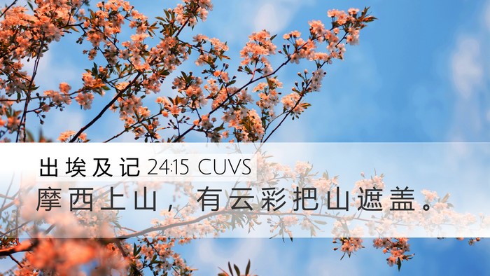 出 埃 及 记 24:15 CUVS Desktop Wallpaper - 摩 西 上 山 ， 有 云 彩 把 山 遮 盖 - Desktop Bible Verse Wallpaper