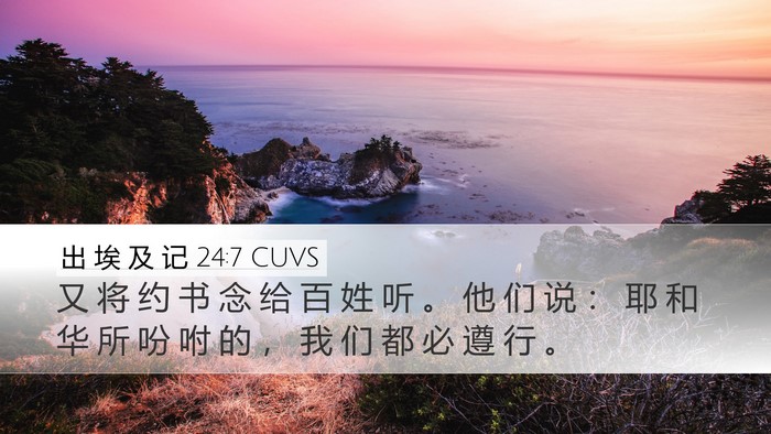 出 埃 及 记 24:7 CUVS Bible Verse Image