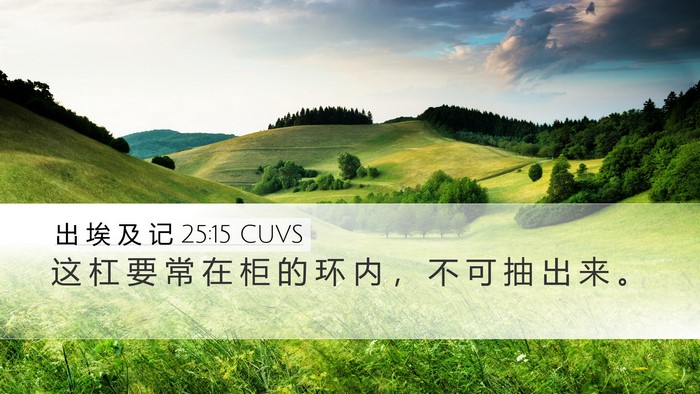 出 埃 及 记 25:15 CUVS Bible Verse Image