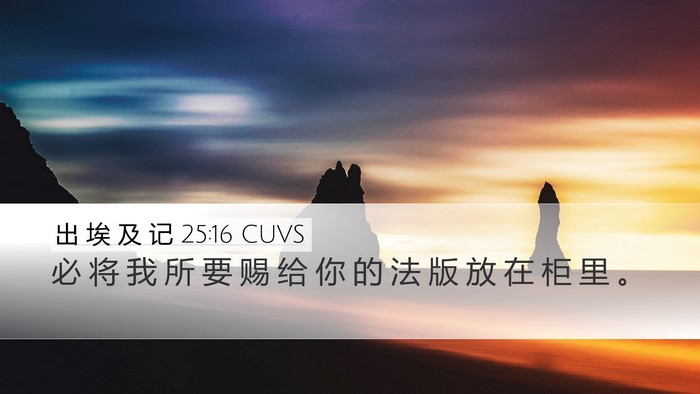 出 埃 及 记 25:16 CUVS Bible Verse Image