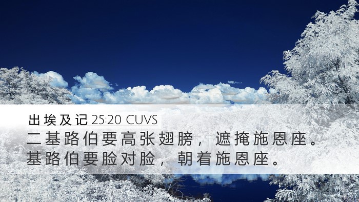 出 埃 及 记 25:20 CUVS Bible Verse Image
