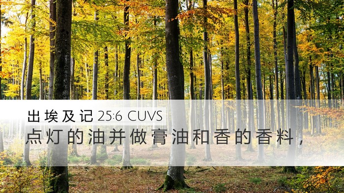 出 埃 及 记 25:6 CUVS Bible Verse Image