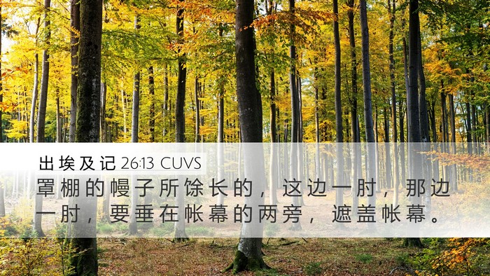 出 埃 及 记 26:13 CUVS Bible Verse Image