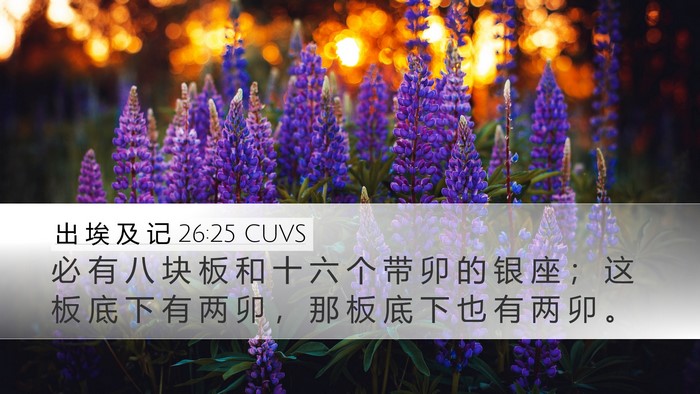 出 埃 及 记 26:25 CUVS Bible Verse Image