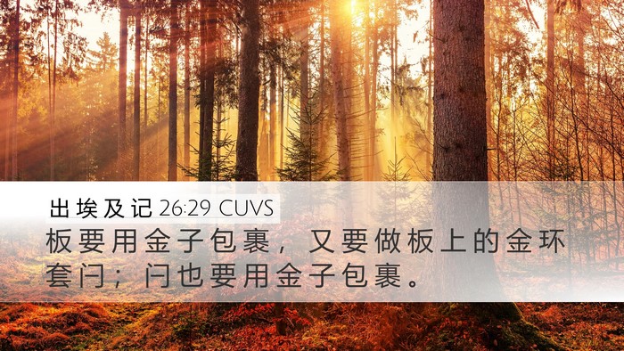 出 埃 及 记 26:29 CUVS Bible Verse Image