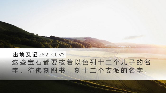 出 埃 及 记 28:21 CUVS Bible Verse Image