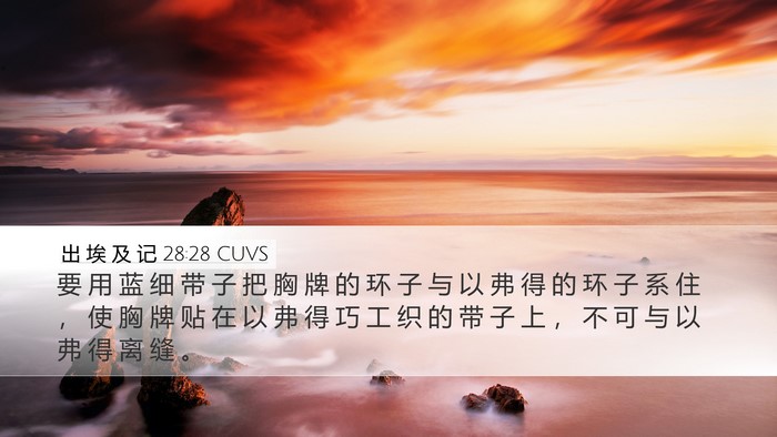 出 埃 及 记 28:28 CUVS Bible Verse Image